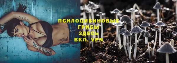 скорость Белокуриха