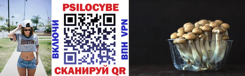 Галлюциногенные грибы GOLDEN TEACHER  Афипский 